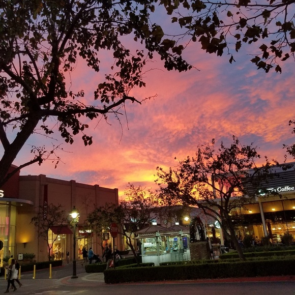 Meet your Posher, Amanda - Picture 11 of 16